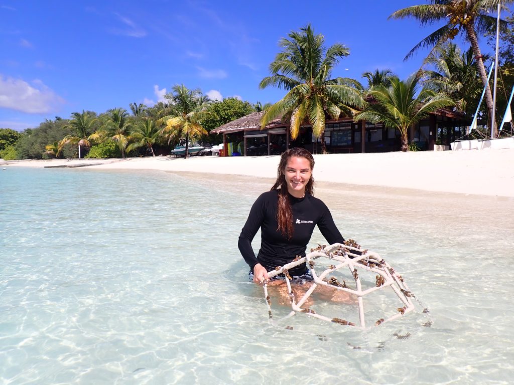 Adopt a Coral - Sheraton maldives