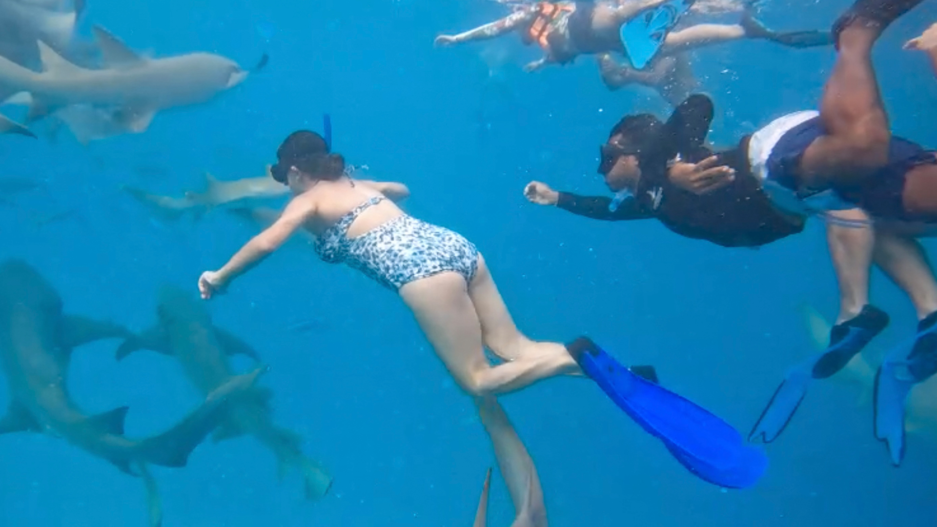 Sameeksha Sud's and Praveen Bhatt’s WOW! Xperience in the Maldives – Swimming with the Sharks 3