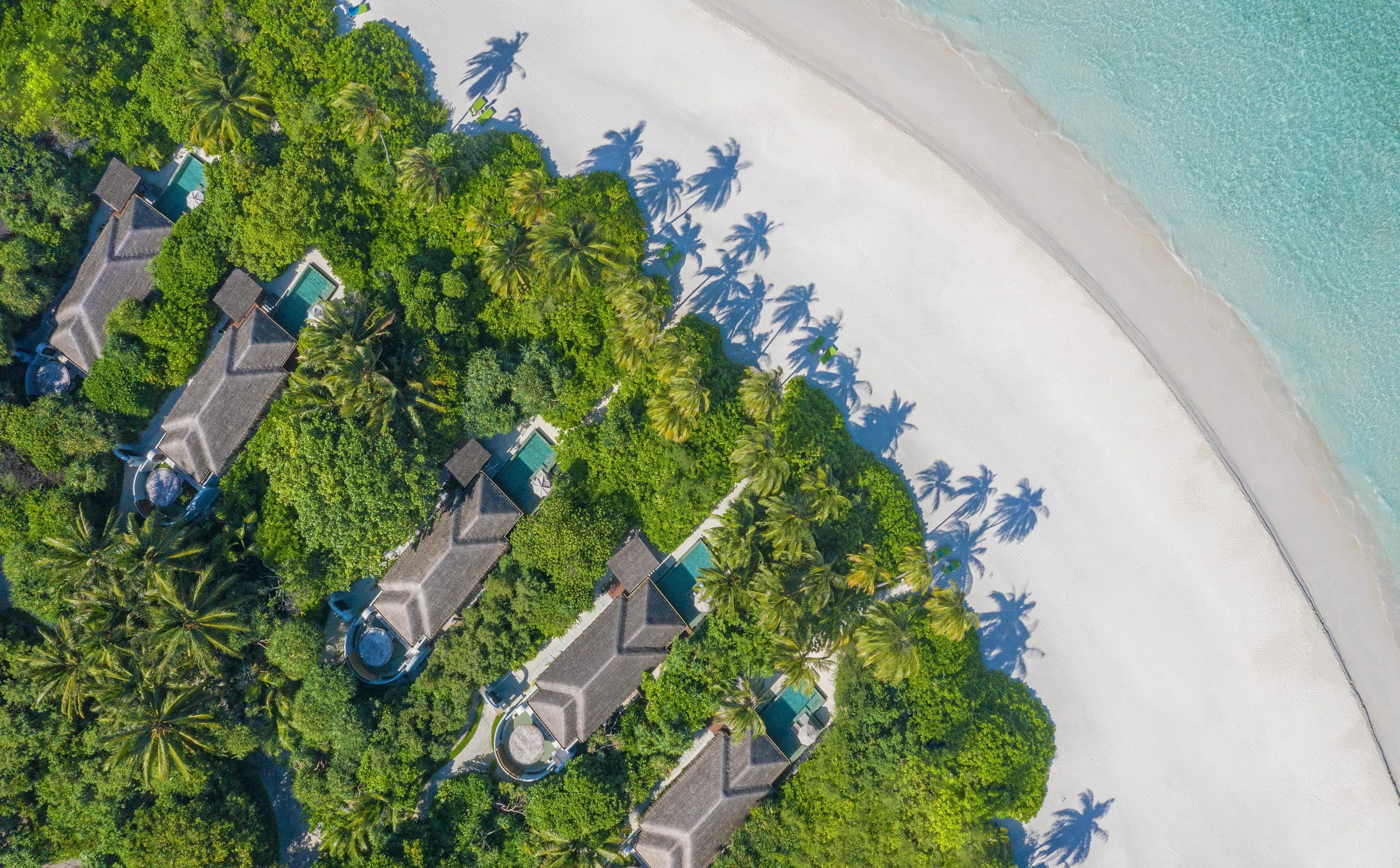 One Bedroom Beach Pool Villas Enveloped by Lush Vegetation - Anantara Kihavah Maldives Villas