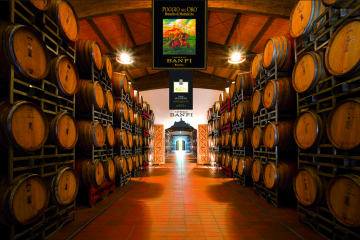 Banfi winery