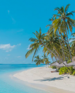 Maldives Resort Sublease Law