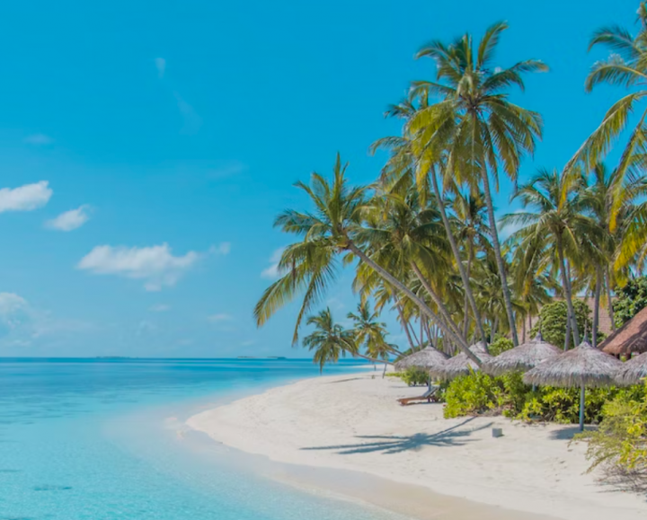 Maldives Resort Sublease Law