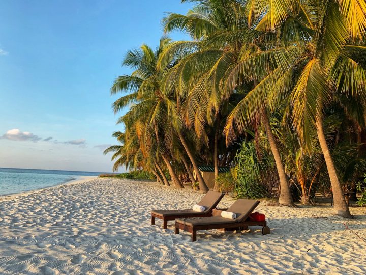 WORLD TRAVEL MONITOR® 2022 Maldives