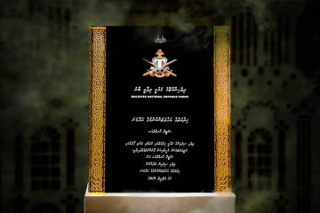 Steel Hardware MNDF Shield