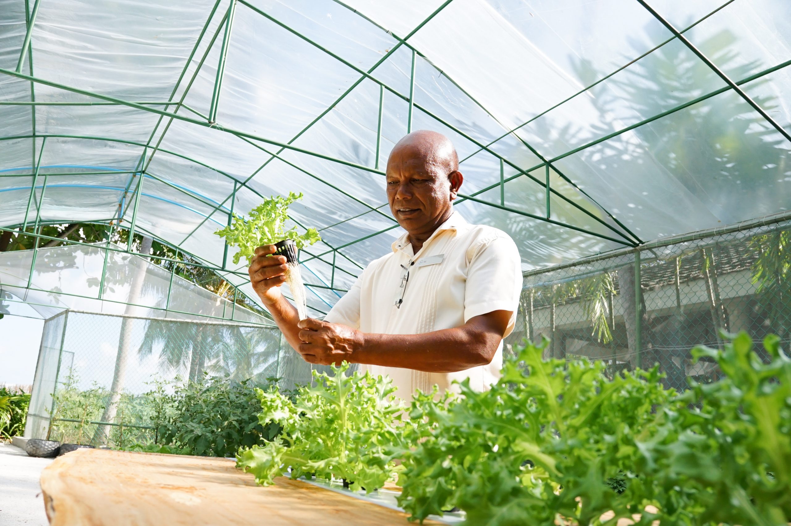 Chef Garden - Ali Thakan, the landscaper