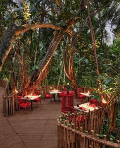 519560 Niyama Private Islands Maldives Restaurant Nest Details Treetop 3797aa Original 1704170535