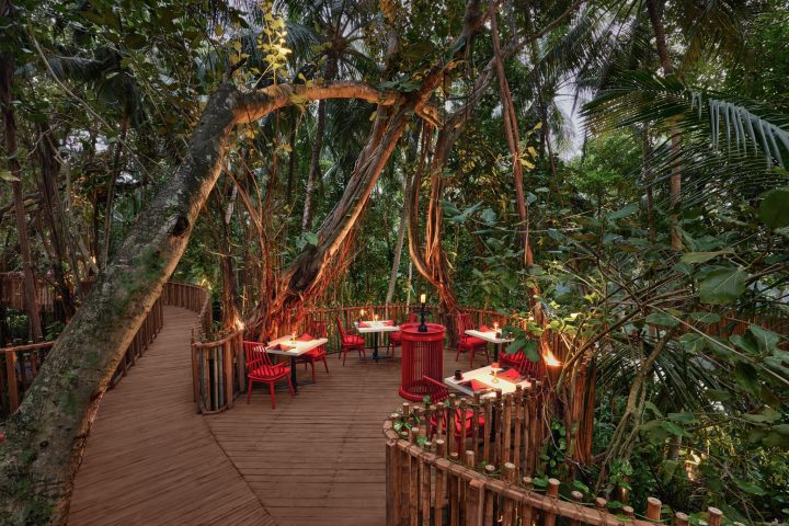 519560 Niyama Private Islands Maldives Restaurant Nest Details Treetop 3797aa Original 1704170535