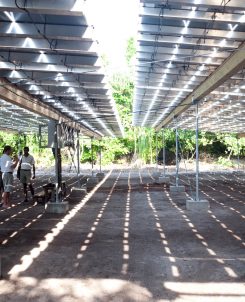 Batch Solar Panels During Eco Centro Tour At Soneva Fushi