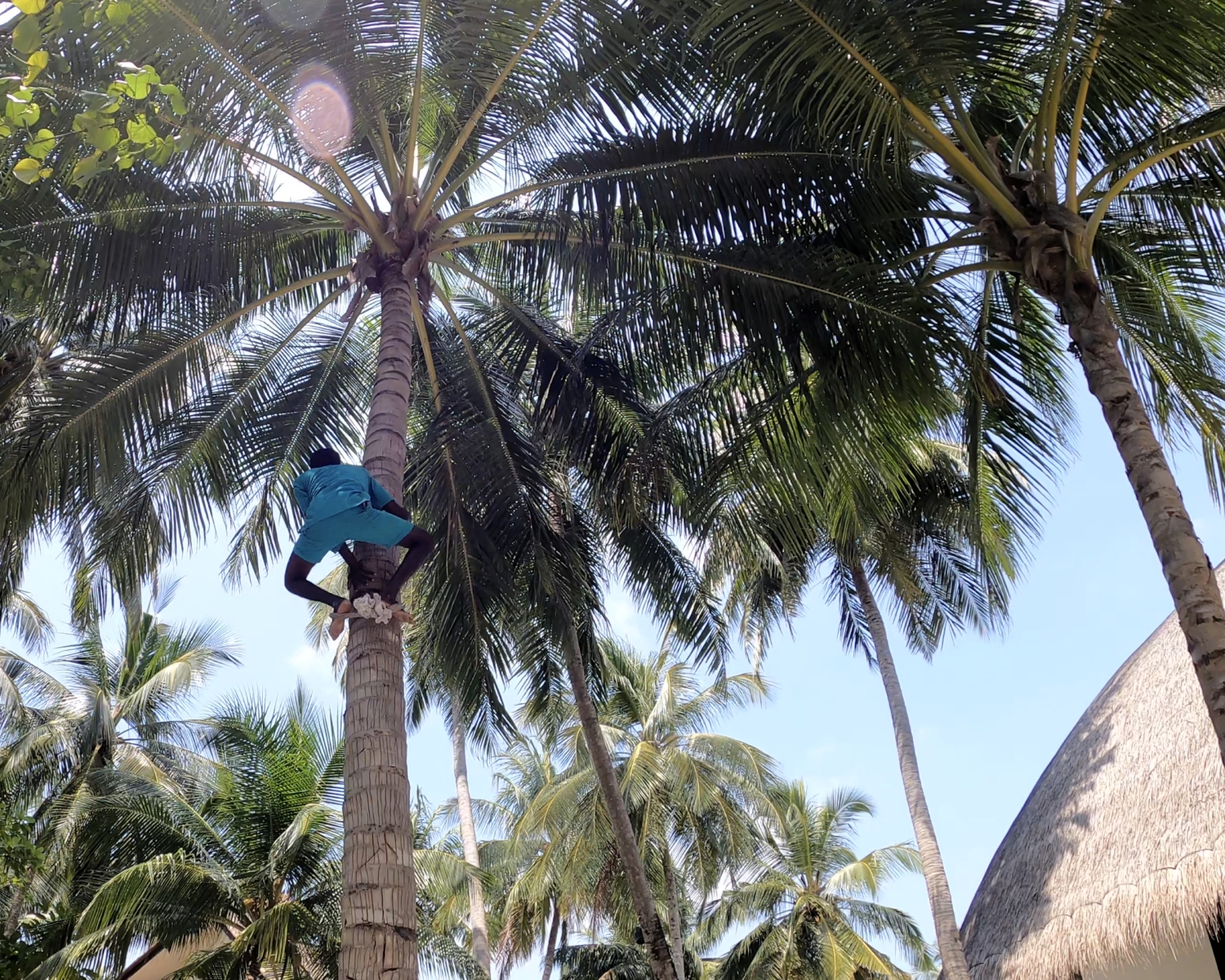 Championing sustainability, cultural heritage, local economy at Angsana Velavaru