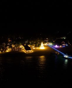 Batch Angsana Velavaru Christimas Tree Night Landscape