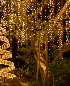 Batch The Ritz Carlton Maldives, Fari Islands Festive Christmas Tree2