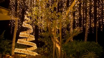 Batch The Ritz Carlton Maldives, Fari Islands Festive Christmas Tree2