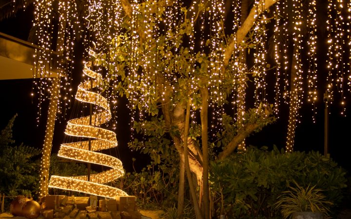 Batch The Ritz Carlton Maldives, Fari Islands Festive Christmas Tree2