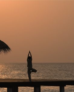 Batch Coco Collection Sunset Yoga