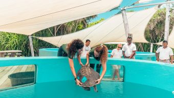 Batch Nakaiy's Arrival At Soneva Jani 4