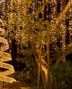 Batch The Ritz Carlton Maldives, Fari Islands Festive Christmas Tree2