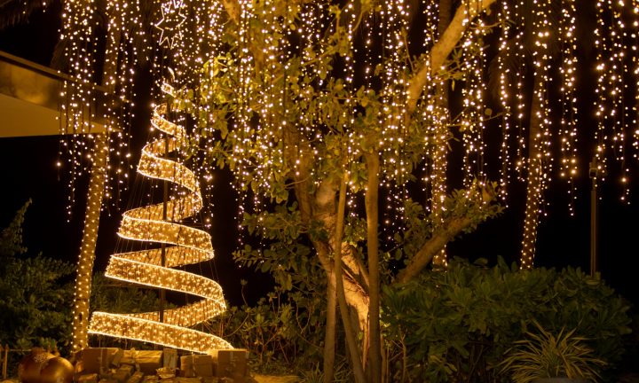 Batch The Ritz Carlton Maldives, Fari Islands Festive Christmas Tree2