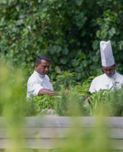 Dusit Thani Maldives Facility Chefs In Garden.jpg