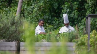 Dusit Thani Maldives Facility Chefs In Garden.jpg