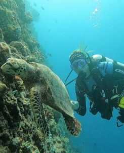 Diving - Cinnamon Dhonveli