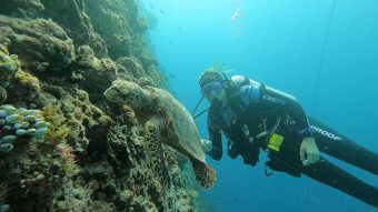 Diving - Cinnamon Dhonveli