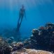 One&onlyreethirah Freediving 3