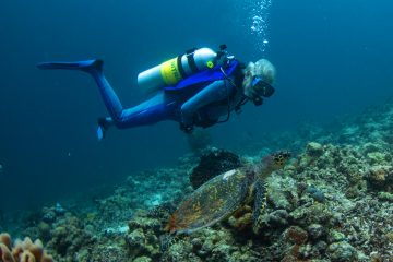 The Ritz Carlton Maldives, Fari Islands Jmc (1)