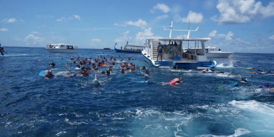 29b5b9b6 8542 44de 945a Efd9ea84b67b 1126e908 Ezgif.com Webp To Jpg Converter