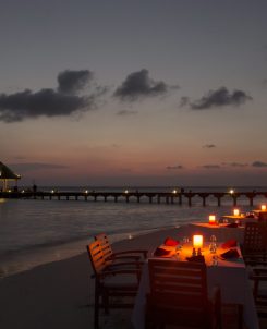 Beach Barbecue Dinner