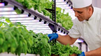 Ozen Life Maadhoo Hydroponics Garden