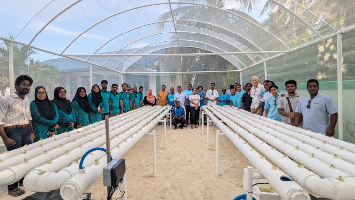 Hyrdrophonics Dhigurah April 2025 (2) (1)
