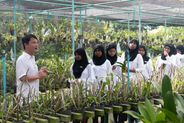 Fs Apprenticeship (5)