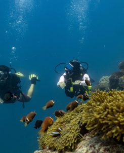 596516 Scuba Diving Avani Fares Maldives Resort 1f142d Original 1749436160