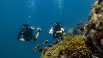 596516 Scuba Diving Avani Fares Maldives Resort 1f142d Original 1749436160
