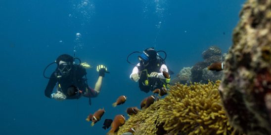 596516 Scuba Diving Avani Fares Maldives Resort 1f142d Original 1749436160