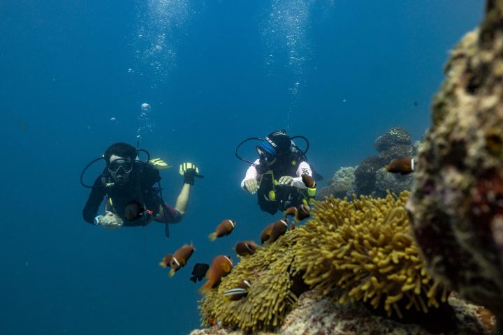 596516 Scuba Diving Avani Fares Maldives Resort 1f142d Original 1749436160