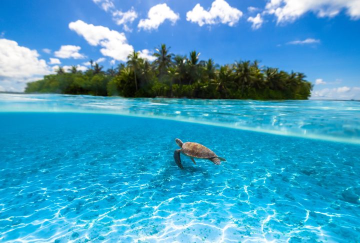 Kudadoo Maldives Ocean 2