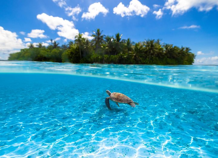 Kudadoo Maldives Ocean 2