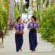 Batch Banyan Tree Vabbinfaru 001 (1)