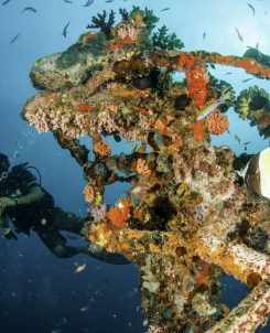 Centara Grand Island Resort & Spa Maldives Diving
