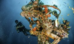 Centara Grand Island Resort & Spa Maldives Diving