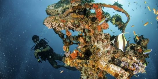 Centara Grand Island Resort & Spa Maldives Diving