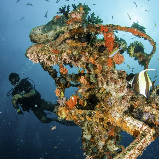Centara Grand Island Resort & Spa Maldives Diving