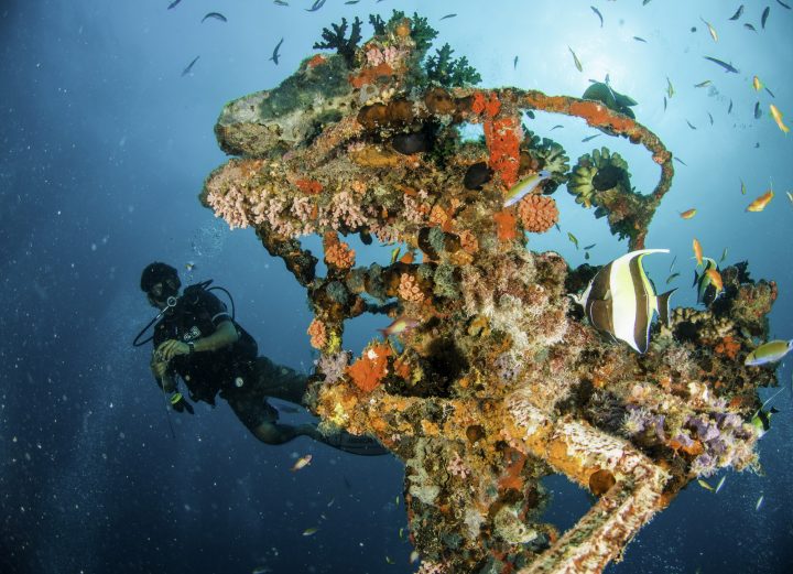 Centara Grand Island Resort & Spa Maldives Diving