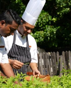 Press Release Photos Locally Sourced Globally Inspired 2