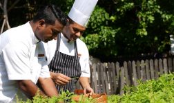 Press Release Photos Locally Sourced Globally Inspired 2