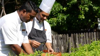 Press Release Photos Locally Sourced Globally Inspired 2