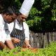 Press Release Photos Locally Sourced Globally Inspired 2