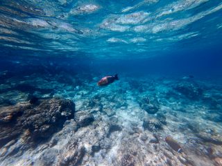 Akanksha Maker Dive Day Fam India (5)