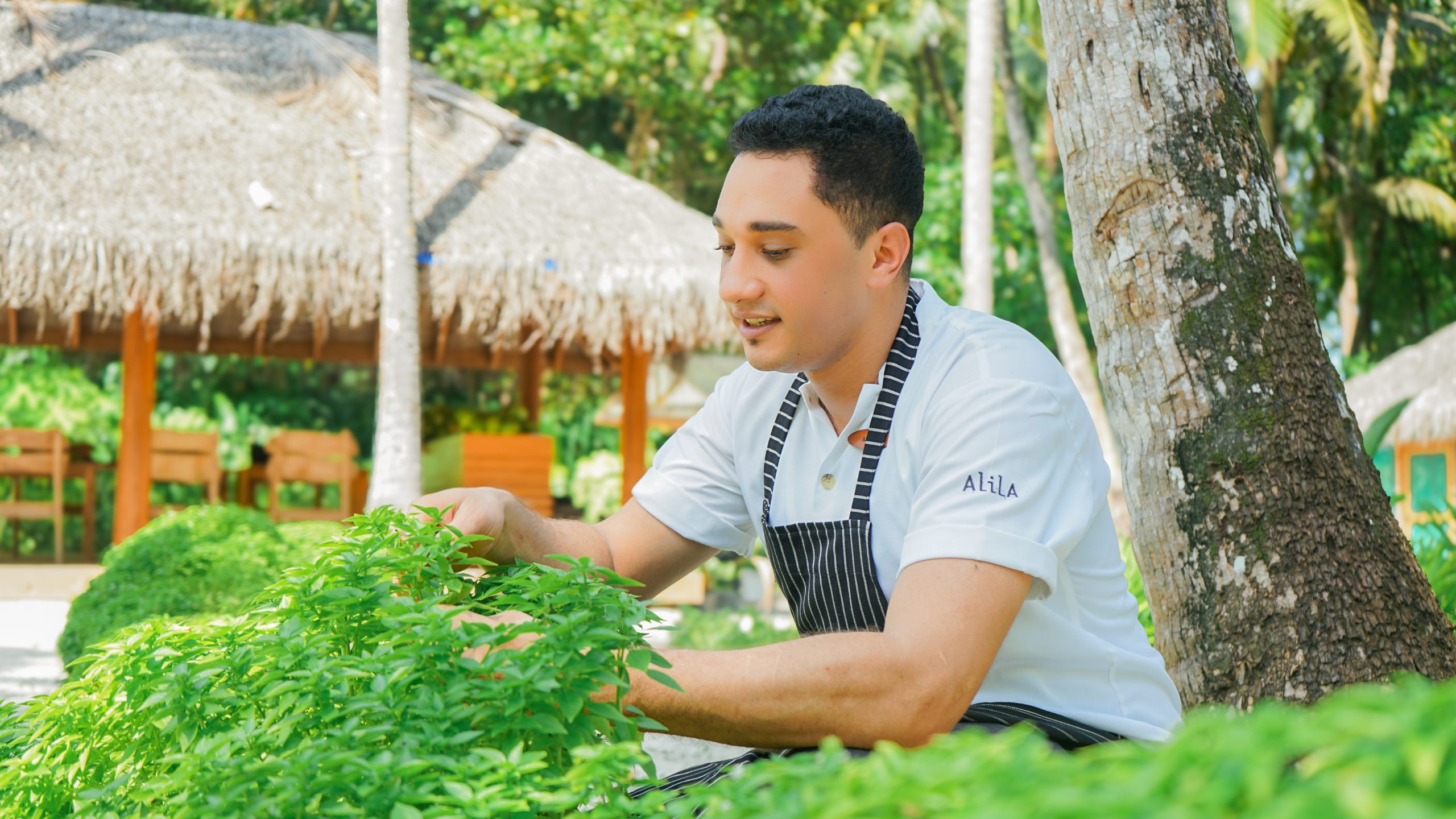 Alila Kothaifaru Maldives unveils revitalised Spice Garden rooted in sustainability and flavour